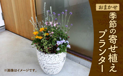 おまかせ 季節の 寄せ植え プランター 花 植物 80pt 長崎県大村市 ふるさと納税 ふるさとチョイス