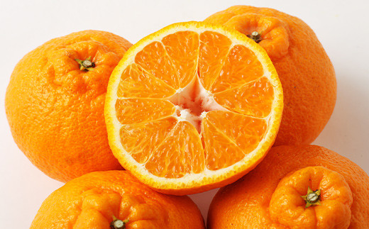 宇城市産 不知火 約3kg（9～10玉）うちやま果樹園 柑橘 果物