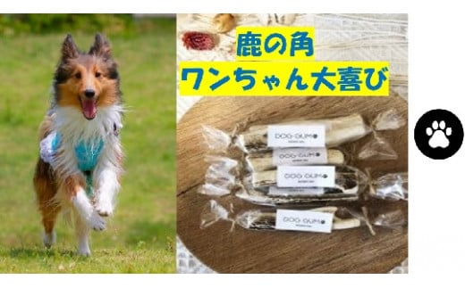 犬のおもちゃ ドッグフードのセット 小型犬用 岩手県大槌町 ふるさと納税 ふるさとチョイス