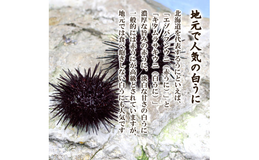 水揚げ分のみ 北海道産天然キタムラサキウニで作った ふり塩うに 100g 数量限定 北海道鹿部町 ふるさと納税 ふるさとチョイス