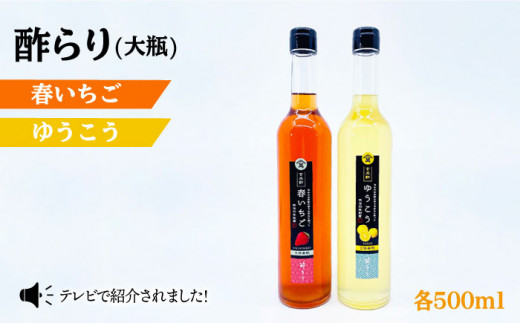 ふるさと納税 長崎県 西海市 【飲む玄米酢】 【3回定期便】酢らり 大瓶