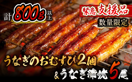 15 Oni0216 緊急支援品 うなぎ蒲焼5尾 計800g以上 うなぎのおむすび2個 お楽しみセット 国産鰻 ウナギ さんしょう たれセット 宮崎県都農町 ふるさと納税 ふるさとチョイス