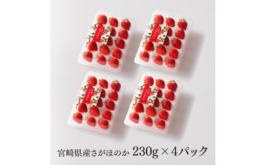 ※数量限定※《発送月が選べる》宮崎県産いちご「さがほのか」 230g×4パック 【 九州産 宮崎県産 イチゴ 苺 果物 フルーツ 産地直送 期間限定  季節限定 】