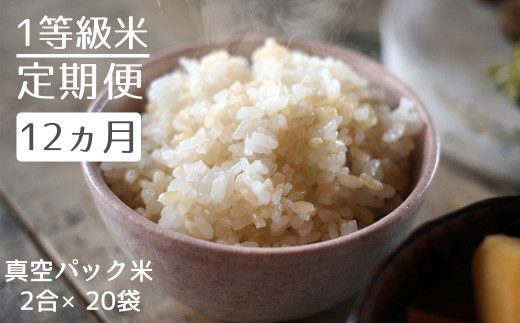 全12回（月2回）定期便】栽培期間中 農薬不使用のお米 ヒノヒカリ 5kg