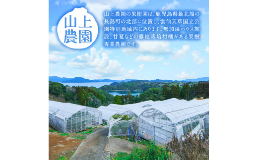 山上農園をご紹介！
