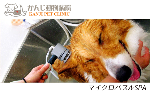 Ap001 ワンちゃんトリミングチケット 超小型犬 千葉県松戸市 ふるさとチョイス ふるさと納税サイト
