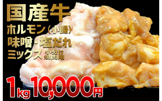 010B505 国産牛ホルモン（小腸）味噌・塩だれミックス 小分け焼肉用 １kg