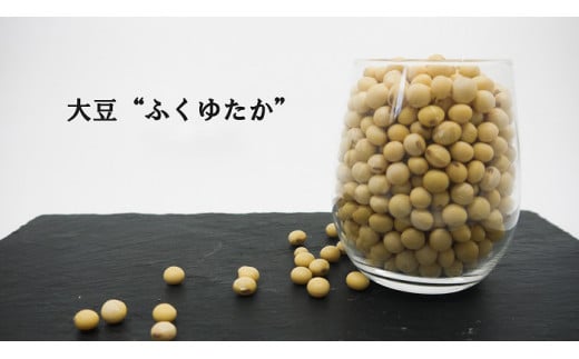 BE011 佐賀県みやき町農家岡さんちの大豆ふくゆたか3kg