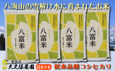 おすすめ 米 kgのふるさと納税を探す ふるさとチョイス 2ページ目