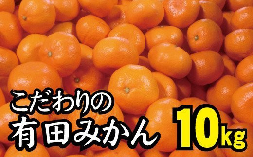 【2023年秋以降発送予約分】【農家直送】こだわりの有田みかん 約10kg 有機質肥料100% サイズ混合 【11月～1月中旬に順次発送】