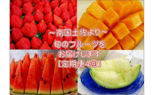 10 1月受付 年4回お届け 季節のフルーツセット 21年度受付 高知県南国市 ふるさと納税 ふるさとチョイス