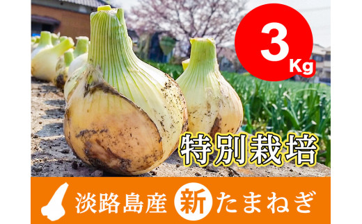 兵庫県認証★特別栽培★淡路島新たまねぎ【3㎏】