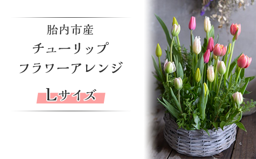 47 03 Lサイズ 胎内市産チューリップのフラワーアレンジ 新潟県胎内市 ふるさと納税 ふるさとチョイス