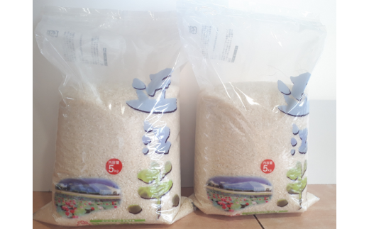 [定期便 3ヵ月分]近江米コシヒカリ(白米・玄米)5kg