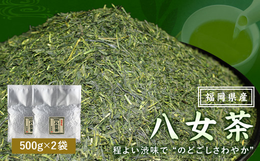 福岡県産 八女茶100%( 500g 袋詰 × 2袋 )計1kg お茶 煎茶