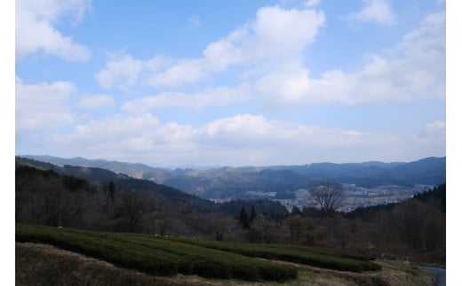 新見市大佐地域を見渡せる山すそに紅茶農園はあります。