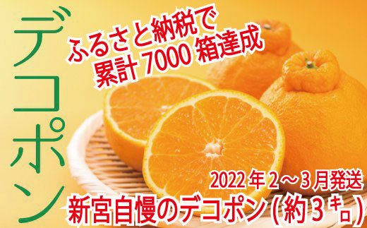 A012.【昨年も大人気】デコポン(約3kg程度)☆2022年配送分予約受付中☆