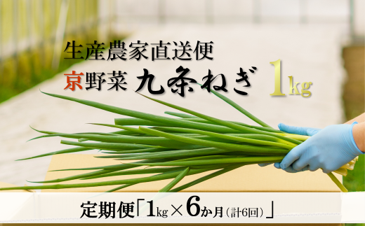 【6か月定期便】生産農家直送　京野菜・九条ねぎ  １kg×6回 S1101×6