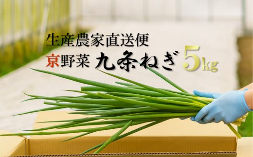 生産農家直送　京野菜・九条ねぎ  ５kg S4301改