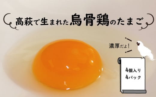 高萩で生まれた烏骨鶏のたまご（16個） 401580 - 茨城県高萩市