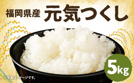 令和6年産 元気つくし5kg×1袋 / 米 お米 ご飯 精米 九州 福岡 258981 - 福岡県筑後市