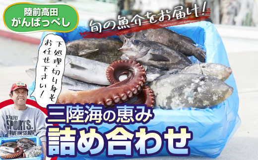 特選 三陸海の恵み詰め合わせ 下処理可 岩手県陸前高田市 ふるさと納税 ふるさとチョイス