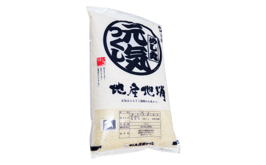 【令和2年産】福岡県産 元気つくし 精米 5kg 白米 お米