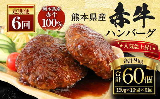【定期便】熊本県産赤牛 ハンバーグ 150g×10個×6ヶ月 合計60個
