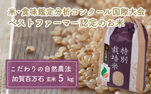 [№5784-0002]「新米」加賀百万石特別栽培米コシヒカリ玄米5kg