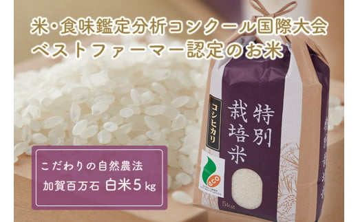 [№5784-0001]「新米」加賀百万石特別栽培米コシヒカリ白米5kg