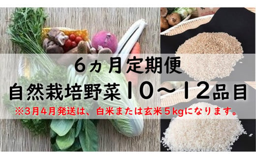 BI-12 6ヵ月定期便「自然栽培野菜」10～12品目（3月4月は白米5kg）