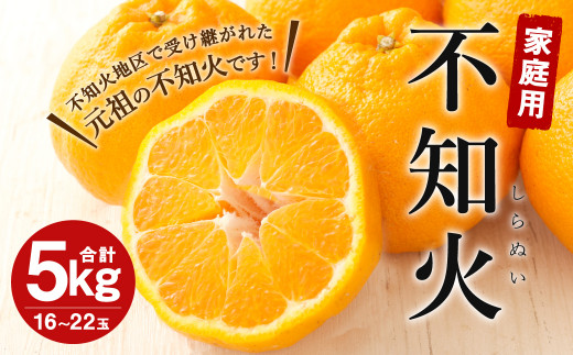 路地栽培 元祖不知火 約5kg(16~22玉)家庭用 果物 柑橘