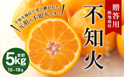 路地栽培 元祖不知火 約5kg(15~18玉)玉揃え 贈答用 果物 柑橘