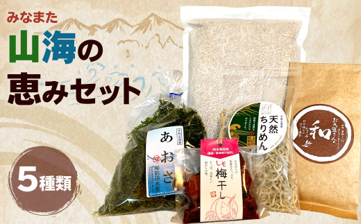 みなまた 山海の恵みセット 5種類 米 ちりめん あおさ海苔 梅干 お茶 259522 - 熊本県水俣市
