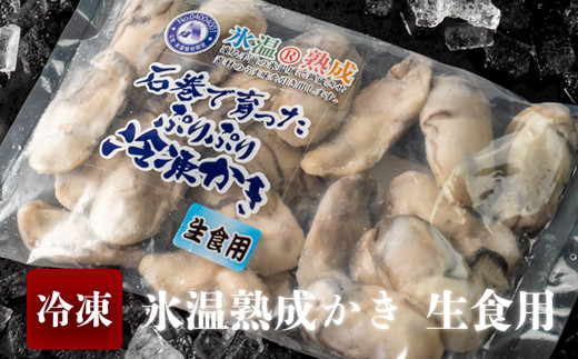 氷温熟成かき 生食用 冷凍 1 8kg 300g 6パック 宮城県石巻市 ふるさと納税 ふるさとチョイス