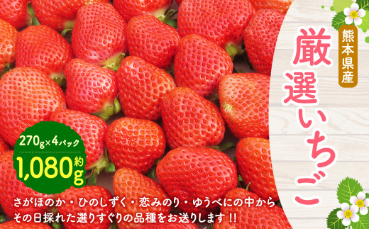 いちご 約1 080g 270g 4 さがほのか ひのしずく 恋みのり ゆうべに 熊本県多良木町 ふるさと納税 ふるさとチョイス