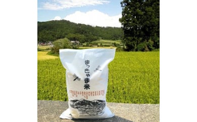 令和7年度産【特別栽培米】 石川県産こしひかり 棚田米【玄米】 5kg まっきゃま米 972061 - 石川県金沢市