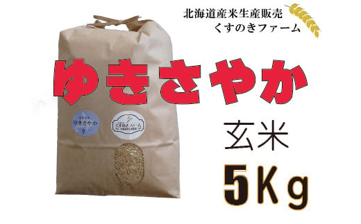 【令和5年産】北海道岩見沢産くすのきファームのゆきさやか玄米（5Kg）【34106】 260296 - 北海道岩見沢市