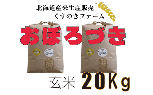 北海道岩見沢産くすのきファームのおぼろづき玄米（20Kg）【34028】