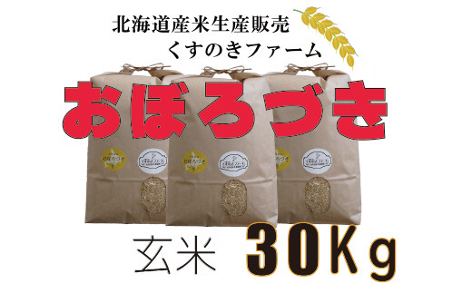 北海道岩見沢産くすのきファームのおぼろづき玄米（30Kg）【34036】