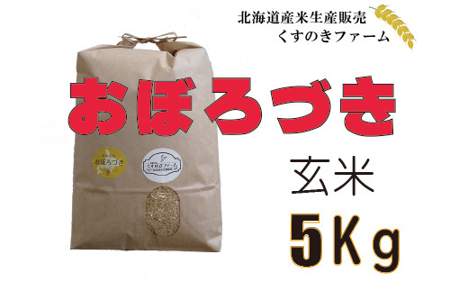 北海道岩見沢産くすのきファームのおぼろづき玄米（5Kg）【34004】