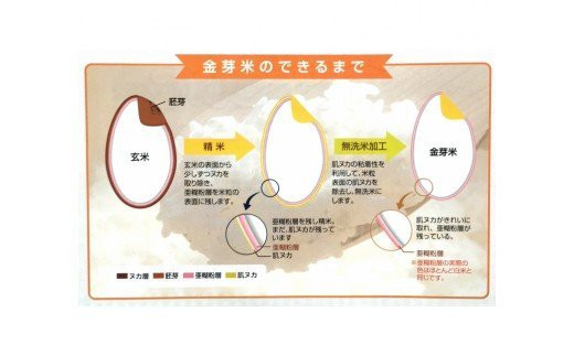 平成29年度米キヌムスメ30kg - 米/穀物