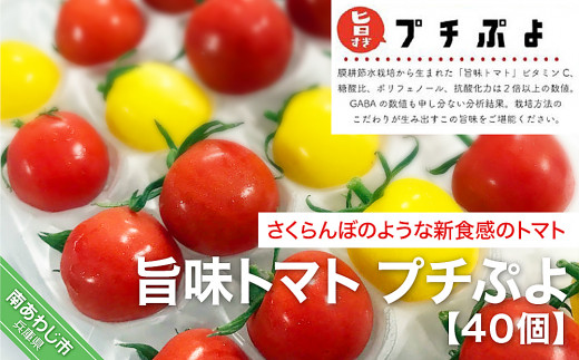 【アクアヴェルデAWAJI】旨味トマト プチぷよ 40個