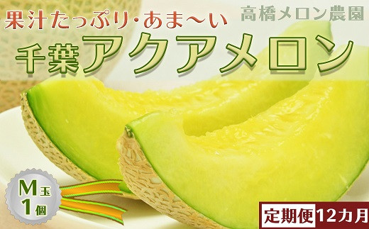 10-41【定期便】高橋メロン農園『千葉アクアメロン』M玉以上 1個 × 12回発送