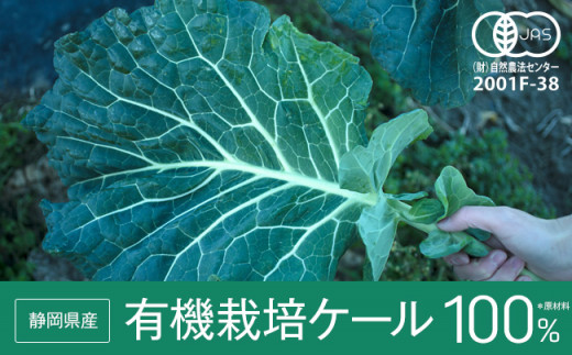 272 機能性表示食品 旬搾り青汁 Gabaケール 4g 30包 定期便 3回 静岡県磐田市 ふるさと納税 ふるさとチョイス