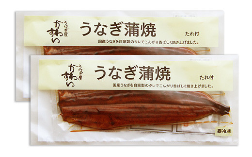 247 国産うなぎ蒲焼き大サイズ２本セット 和歌山県有田市 ふるさと納税 ふるさとチョイス