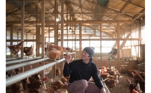 【蓮ヶ峯農場】京都奥丹波 純国産鶏もみじの 平飼いたまご 24個 【 国産 平飼い卵 非遺伝子組み換え 自家配合 たまご タマゴ 卵 平飼い 卵  純国産鶏 もみじの平飼い卵 京都奥丹波 綾部 京都 】