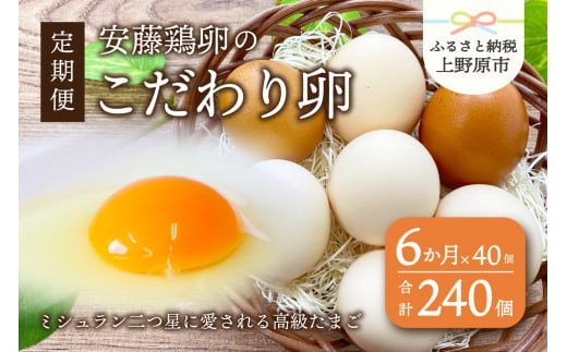 【卵 定期便】6ヶ月お届け！ミシュランも選ぶ高級卵セット（40個×6カ月） 241531 - 山梨県上野原市