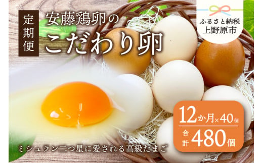 【卵 定期便】12ヶ月お届け！ミシュランも選ぶ高級卵セット（40個×12カ月） 241532 - 山梨県上野原市