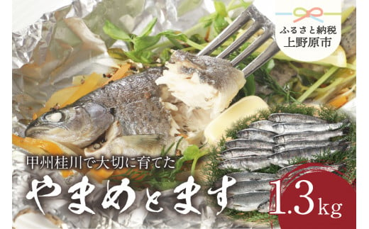 一級河川 魚 甲州桂川のやまめとます高級セット 各1箱 計約15尾 山梨県上野原市 ふるさと納税 ふるさとチョイス